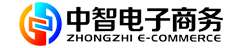 中智电子商务官网
